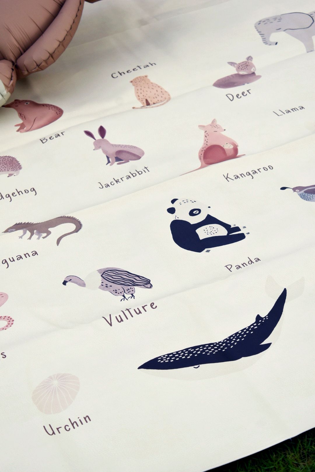 The Animal Alphabet Mess Master