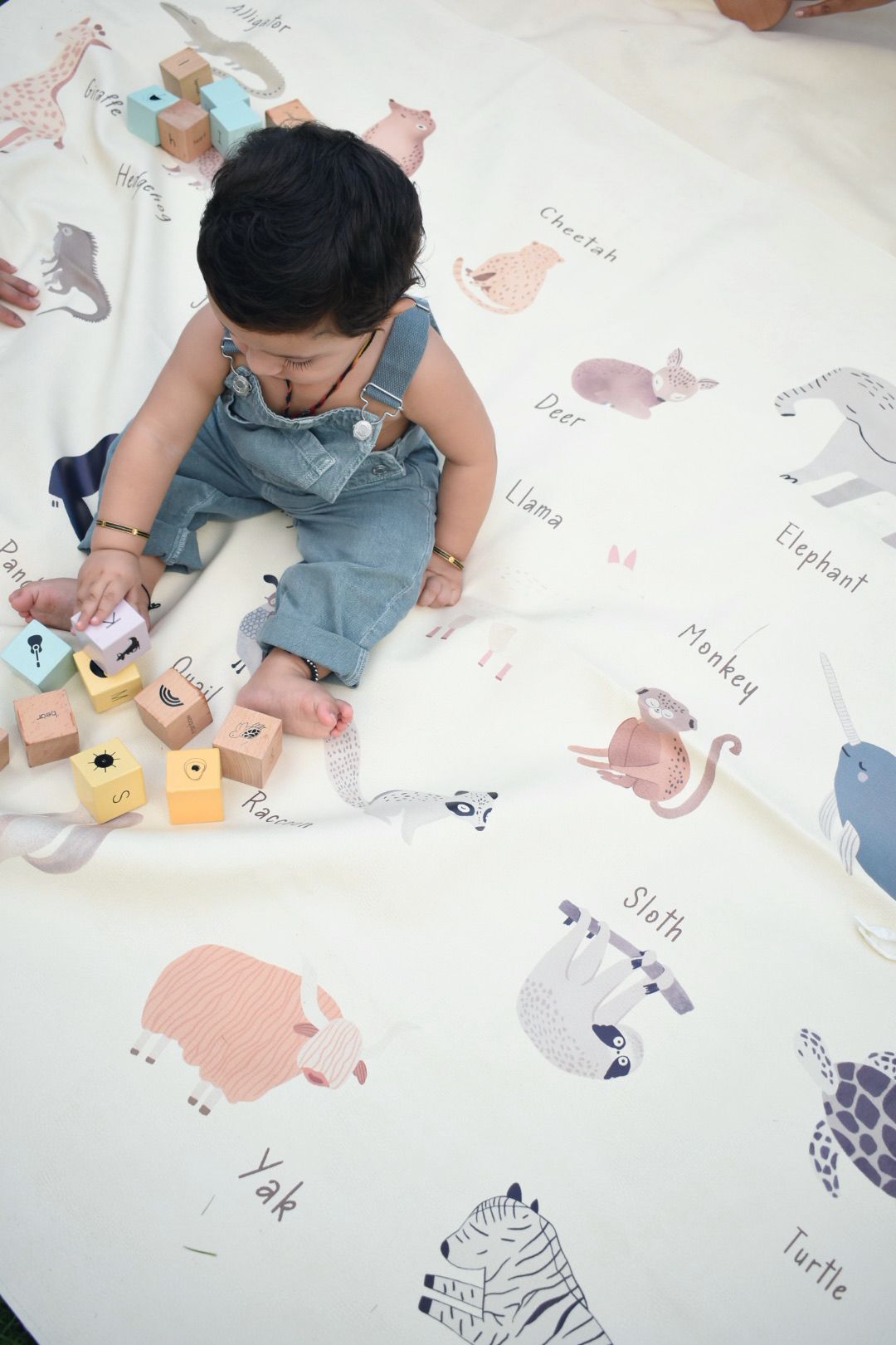 The Animal Alphabet Tree Toddler Turf