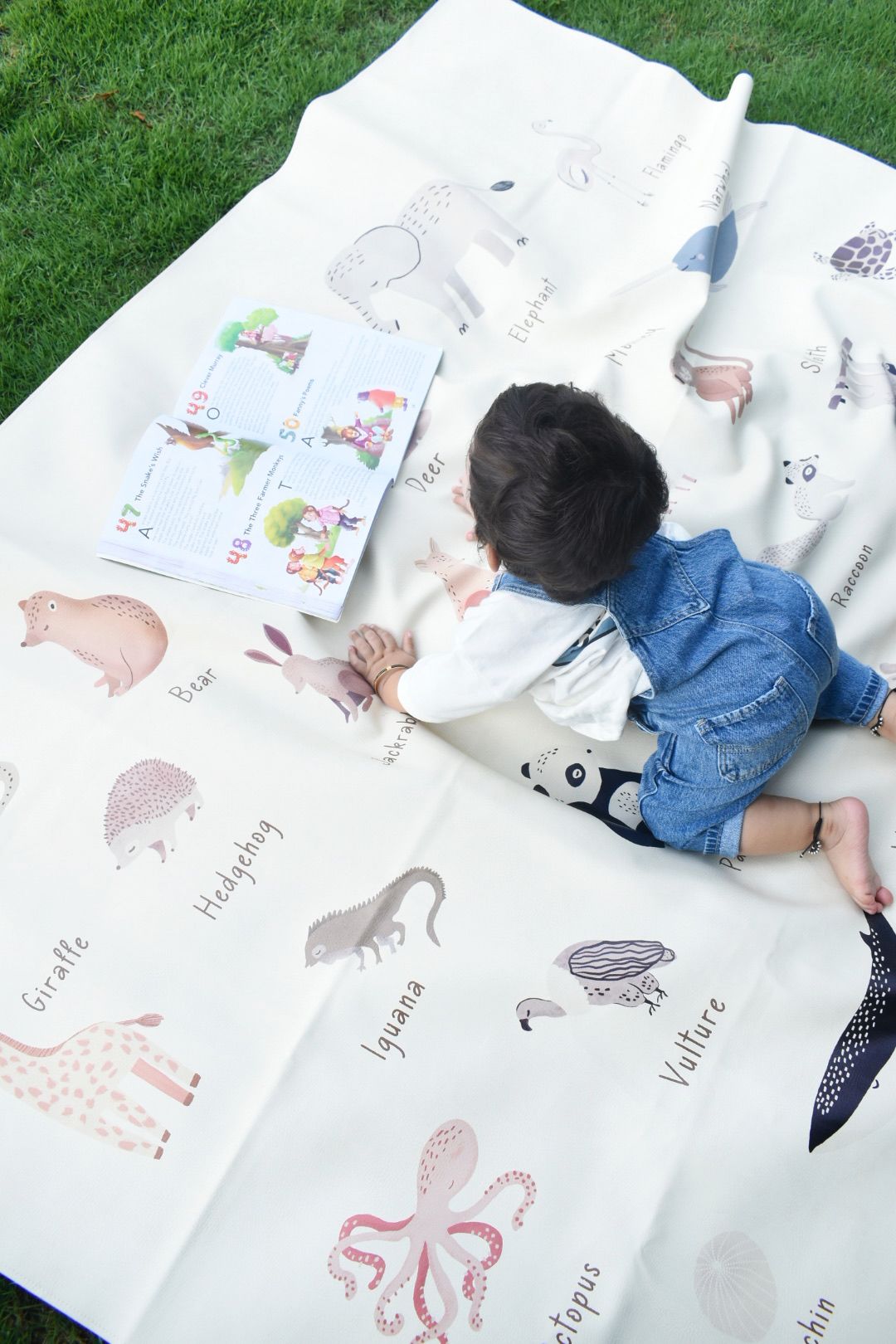 The Animal Alphabet Toddler Turf