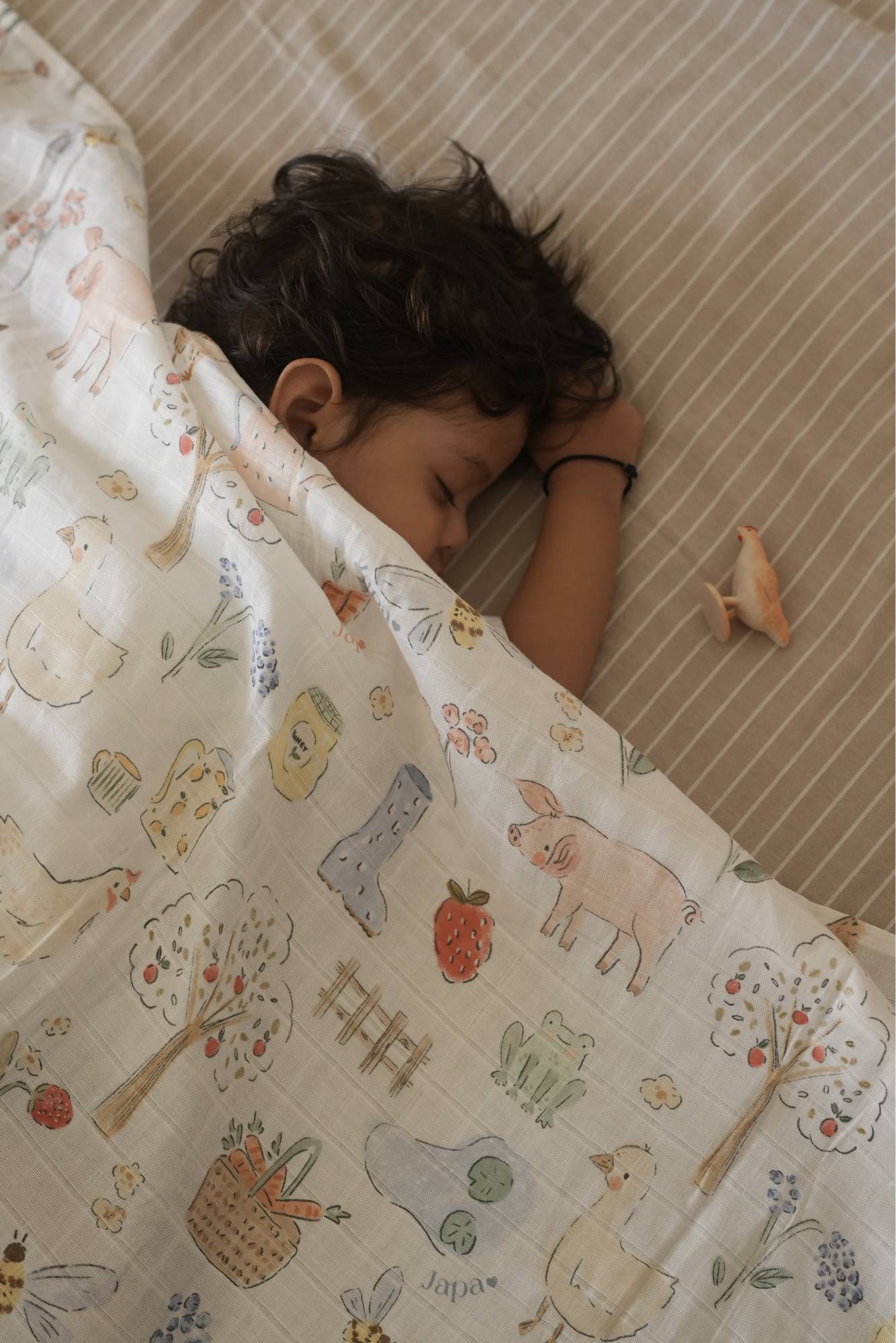 Dilly Dally Swaddle Blanket
